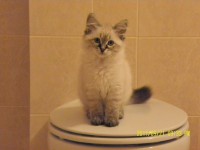 /album/galeria-ambrozja/sam-2835-jpg/