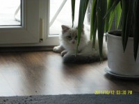 /album/galeria-aurora/sam-3042-jpg2/