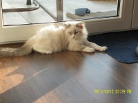 /album/galeria-aurora/sam-3055-jpg2/