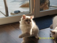 /album/galeria-aurora/sam-3056-jpg2/