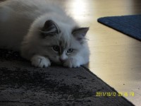 /album/galeria-aurora/sam-3059-jpg2/