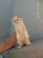 /album/galeria-aurora/sam-2765-jpg/