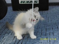 /album/galeria-aurora/sam-2780-jpg/