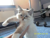 /album/galeria-ares/ares2-jpg/