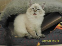 /album/galeria-ambrozja/sam-3024-jpg/