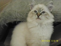 /album/galeria-ambrozja/sam-3026-jpg/