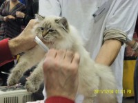 /album/galeria-ambrozja/sam-3400-jpg1/