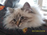 /album/galeria-ambrozja/sam-3595-jpg/