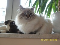 /album/galeria-ambrozja/sam-3602-jpg/