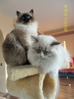 /album/galeria-aurora/sam-3604-jpg/