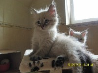 /album/bajka/sam-5066-jpg/