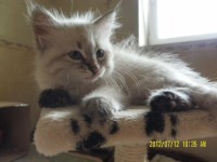 /album/bajka/sam-5071-jpg/