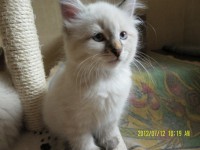 /album/bianka/sam-5031-jpg/