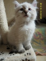 /album/bianka/sam-5032-jpg/