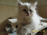 /album/blanka/sam-5026-jpg/