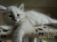 /album/blanka/sam-5029-jpg/