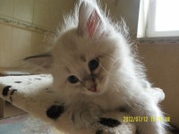 /album/nasze-maluchy-rosn%c4%85-%3ad/sam-5025-jpg/