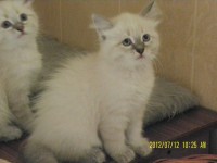 /album/nasze-maluchy-rosn%c4%85-%3ad/sam-5048-jpg/