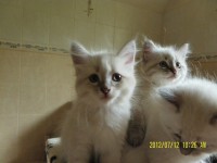 /album/nasze-maluchy-rosn%c4%85-%3ad/sam-5052-jpg/