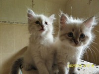 /album/nasze-maluchy-rosn%c4%85-%3ad/sam-5054-jpg/