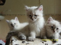 /album/nasze-maluchy-rosn%c4%85-%3ad/sam-5056-jpg/