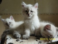 /album/nasze-maluchy-rosn%c4%85-%3ad/sam-5057-jpg/