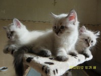 /album/nasze-maluchy-rosn%c4%85-%3ad/sam-5058-jpg/