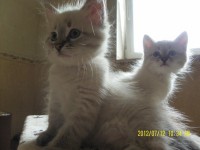 /album/nasze-maluchy-rosn%c4%85-%3ad/sam-5067-jpg/