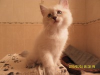 /album/blanka/sam-5106-jpg/