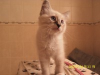 /album/blanka/sam-5113-jpg/