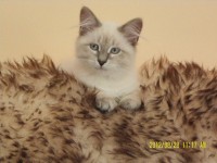 /album/fotogaleria%3a-aktualno%c5%9bci1/sam-5320-jpg/