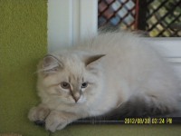 /album/fotogaleria%3a-aktualno%c5%9bci1/sam-5372-jpg/