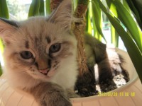 /album/fotogaleria%3a-aktualno%c5%9bci1/sam-5314-jpg/