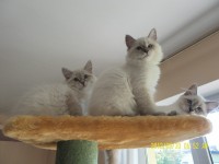 /album/fotogaleria%3a-aktualno%c5%9bci1/sam-5340-jpg/