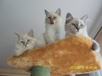 /album/fotogaleria%3a-aktualno%c5%9bci1/sam-5343-jpg/