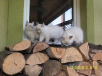 /album/fotogaleria%3a-aktualno%c5%9bci1/sam-5355-jpg/