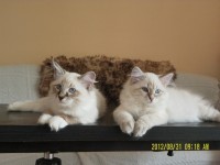 /album/fotogaleria%3a-aktualno%c5%9bci1/sam-5386-jpg/